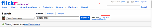 flickr tag search